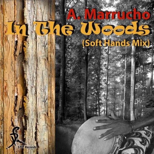 In the Woods