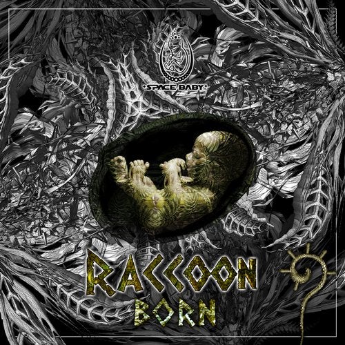 Cover art for Born