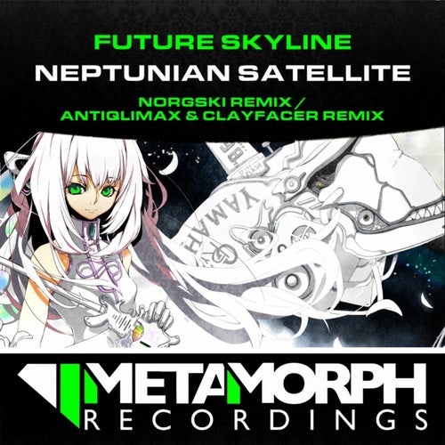 Neptunian Satellite