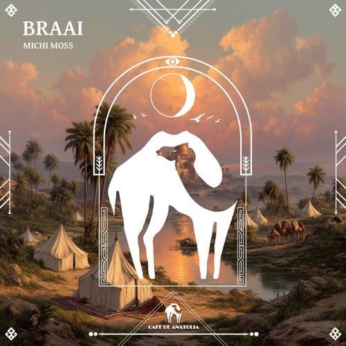 Braai