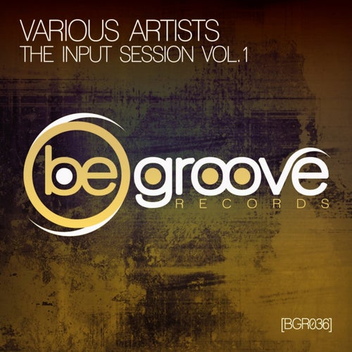 The Input Session, Vol. 1