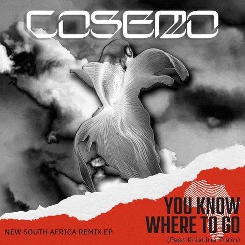 You Know Where To Go (New South Africa EP)