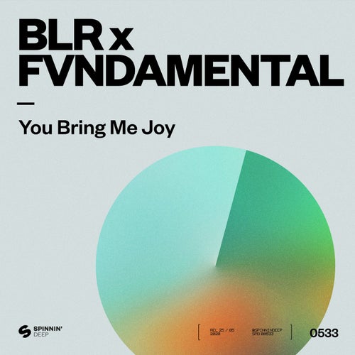 You Bring Me Joy (Extended Mix)