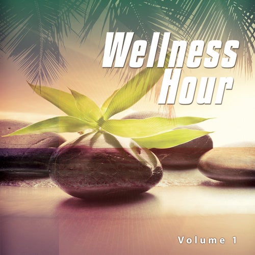 Wellness Hour, Vol. 1