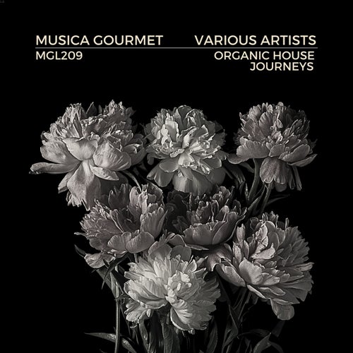 VA - Organic House Journeys MGL209