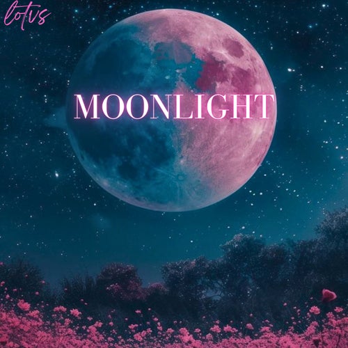 MOONLIGHT