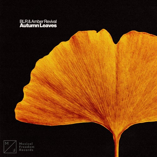 Autumn Leaves (Extended Mix)