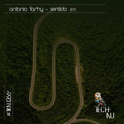 Sentido