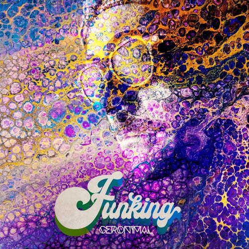 Cover art for Funking