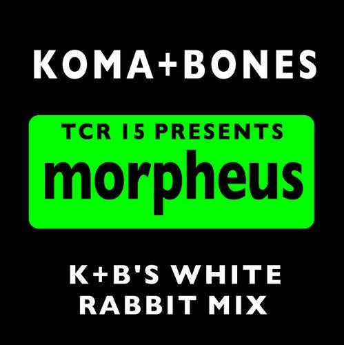Morpheus 2009 (Remixes)