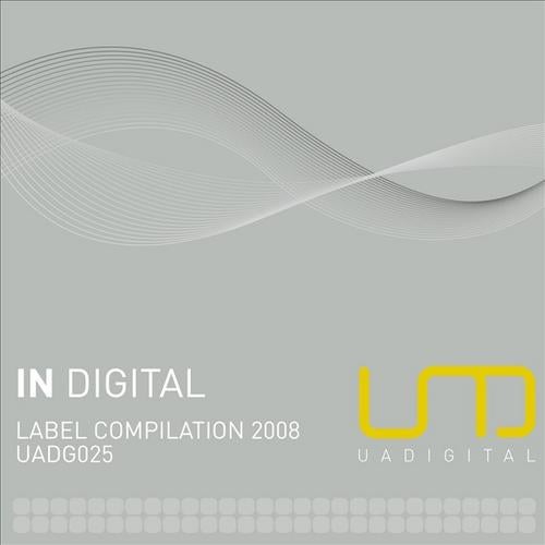 In Digital - Label Compilation 2008