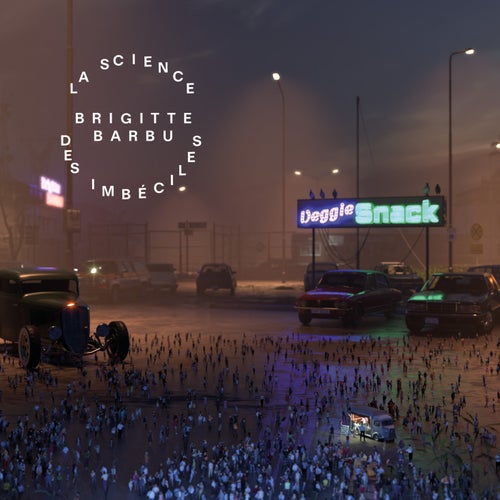 Cover art for La science des imbéciles