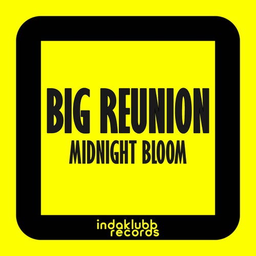 Midnight Bloom