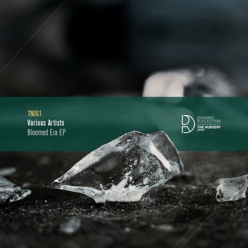 VA - Bloomed Era EP TN061