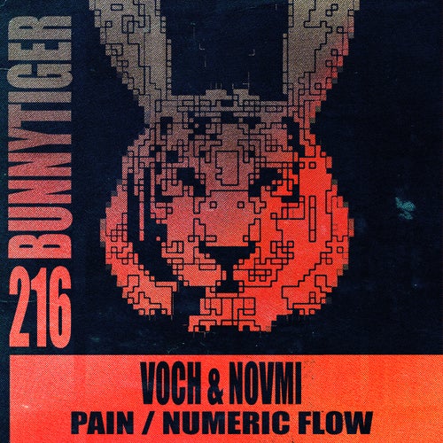 Pain / Numeric Flow