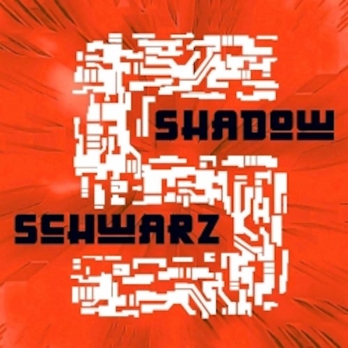 Shadow Schwarz