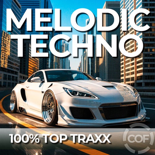 Melodic Techno 06
