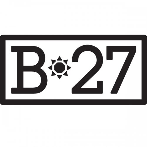 B27 recordings
