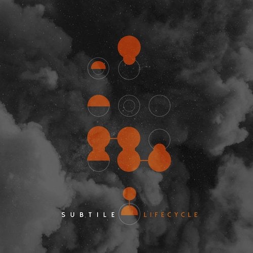 Cover art for Lifecycle