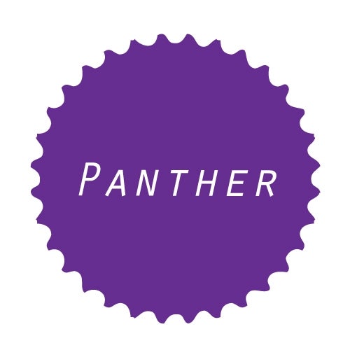 Panther Recordings