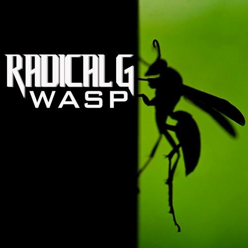 Wasp