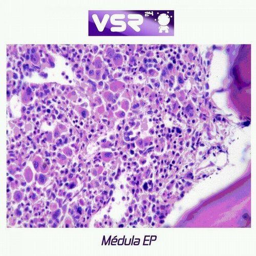 Medula