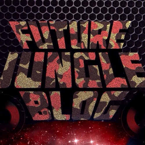 The Best Of Future Jungle