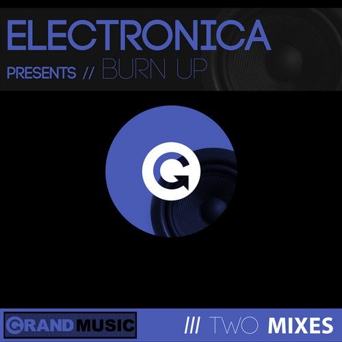 Cover art for Burn Up