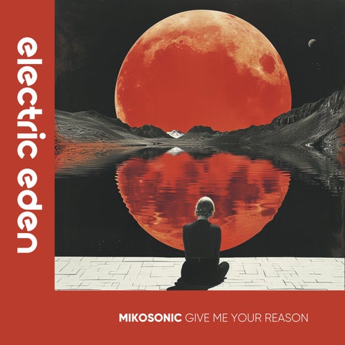 Give Me Your Reason