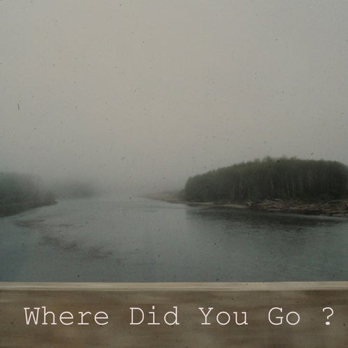 Where Did You Go (feat. Markus Apitius & Céline)