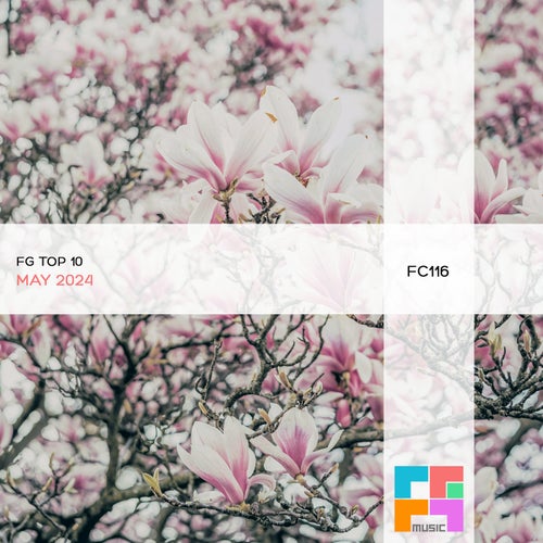 VA - FG Top10  May 2024 [FGComps]