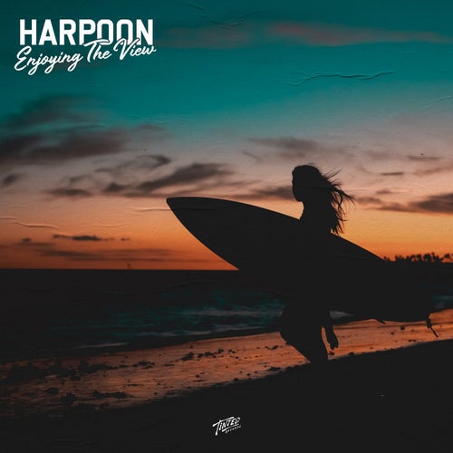 Enjoying the View (Extended Mix)