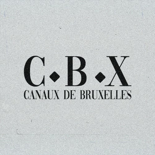 Canaux De Bruxelles