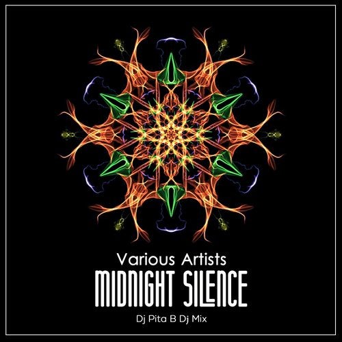 Cover art for Midnight Silence