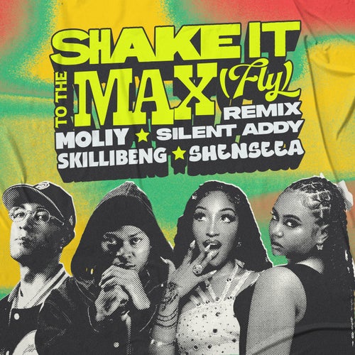 SHAKE IT TO THE MAX (FLY) [REMIX]