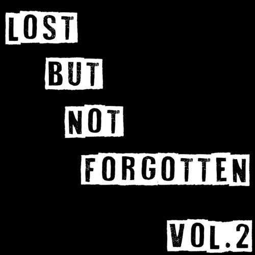 Lost But Not Forgotten 2