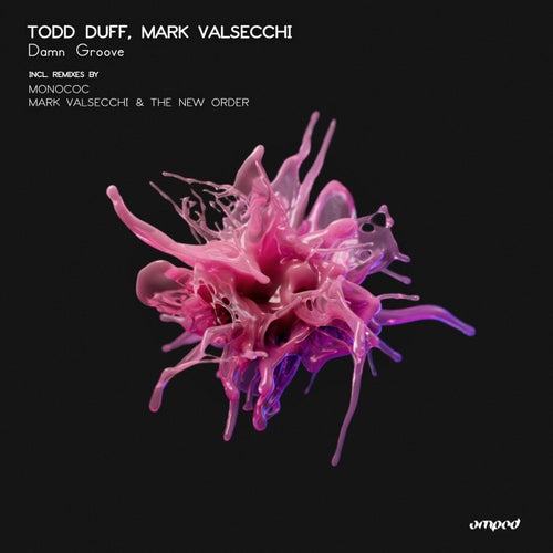  Todd Duff & Mark Valsecchi - Damn Groove (2024)  5e3ace7d-75ac-4b31-816e-4a67df1ae2ac