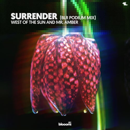 Surrender