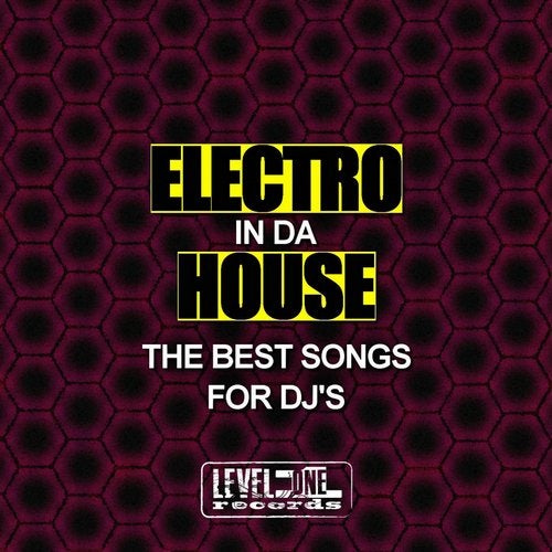 Cover art for Electro In Da House (The Best Songs For DJ's)