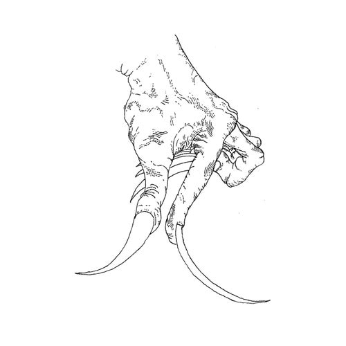 Cover art for Odd Hooks