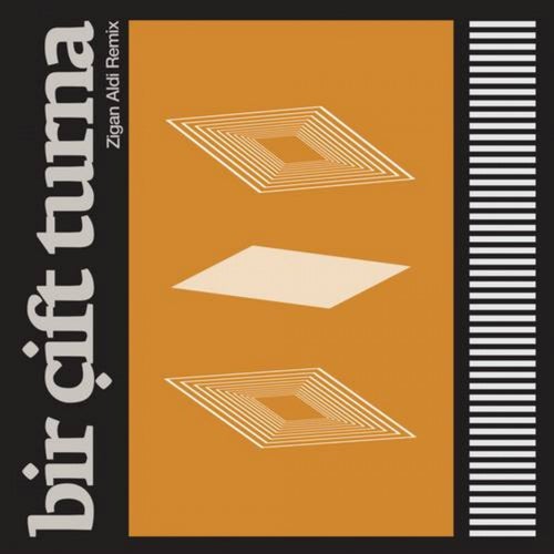 Bir Cift Turna (Zigan Aldi Remix)