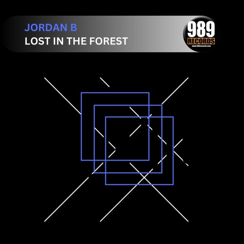 Lost in the Forest