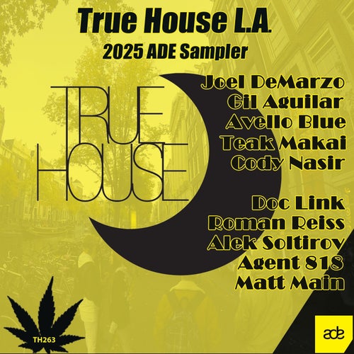 ADE Sampler - True House Classics