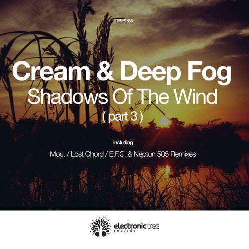 Shadows of the Wind (Part 3)
