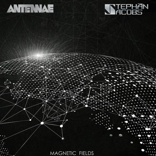 Magnetic Fields