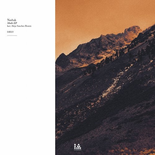 Cover art for Modir EP