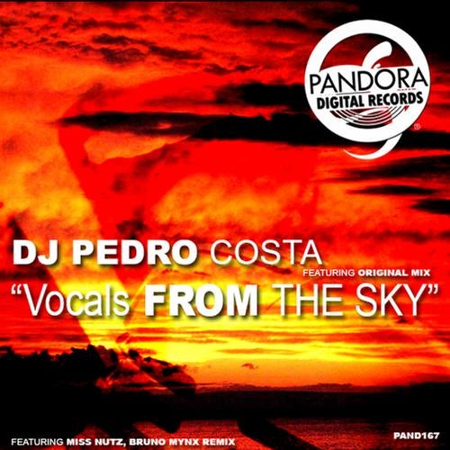 Vocals From The Sky
