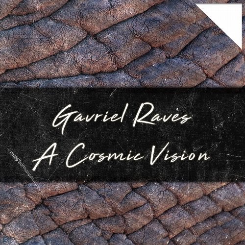Cover art for A Cosmic Vision