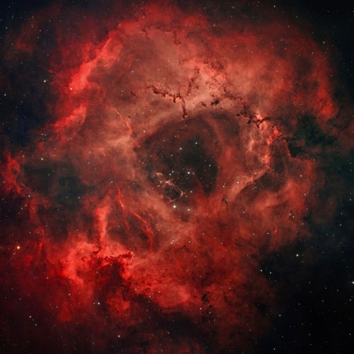 ROSETTE