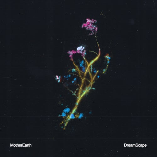 Dreamscape